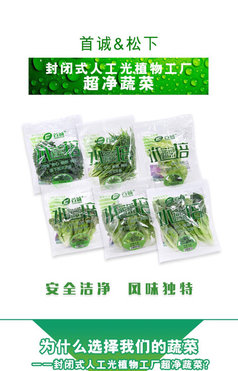 航天級食品|菊苣|蛹蟲草|