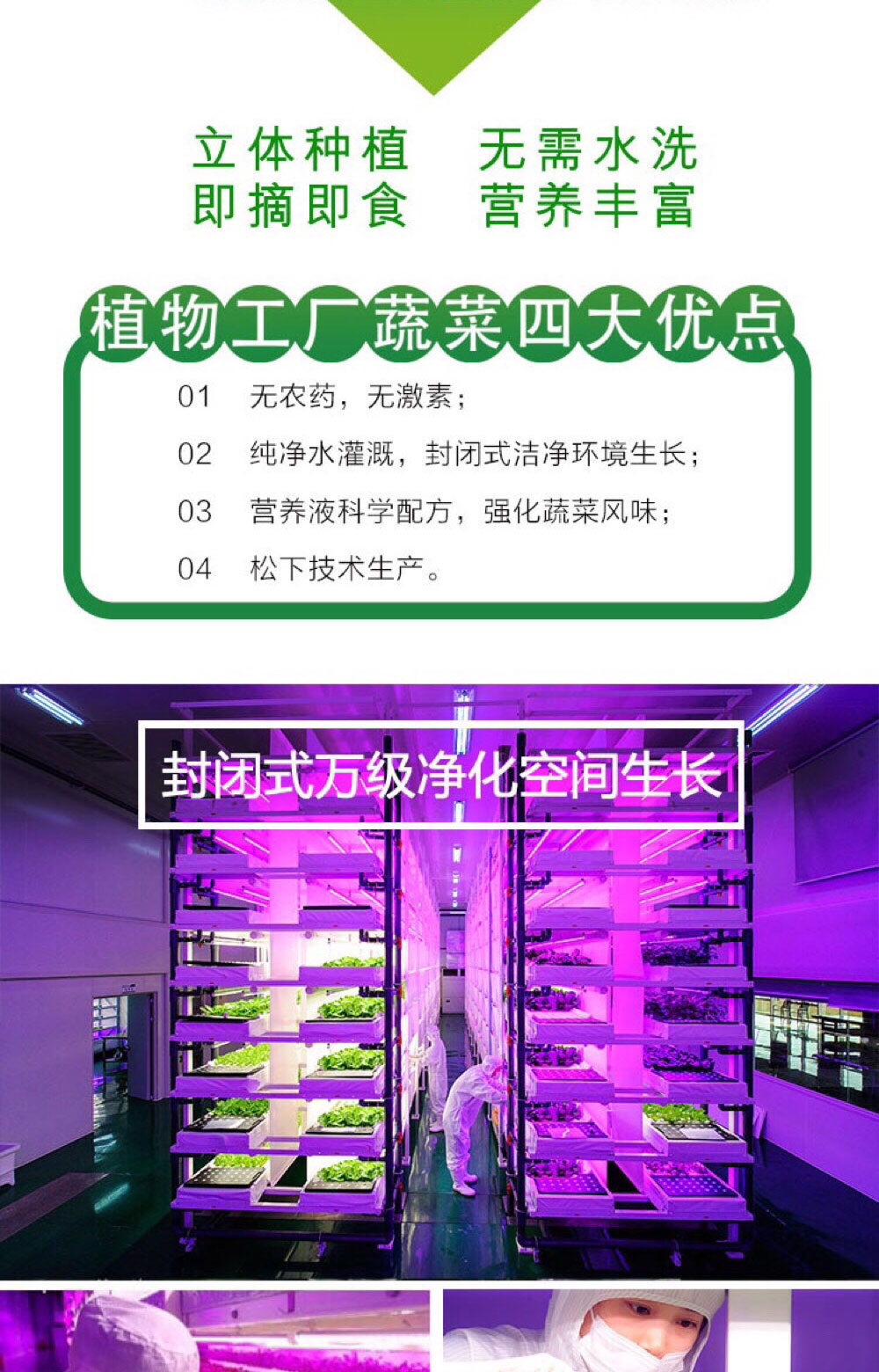 航天級食品|菊苣|蛹蟲草|