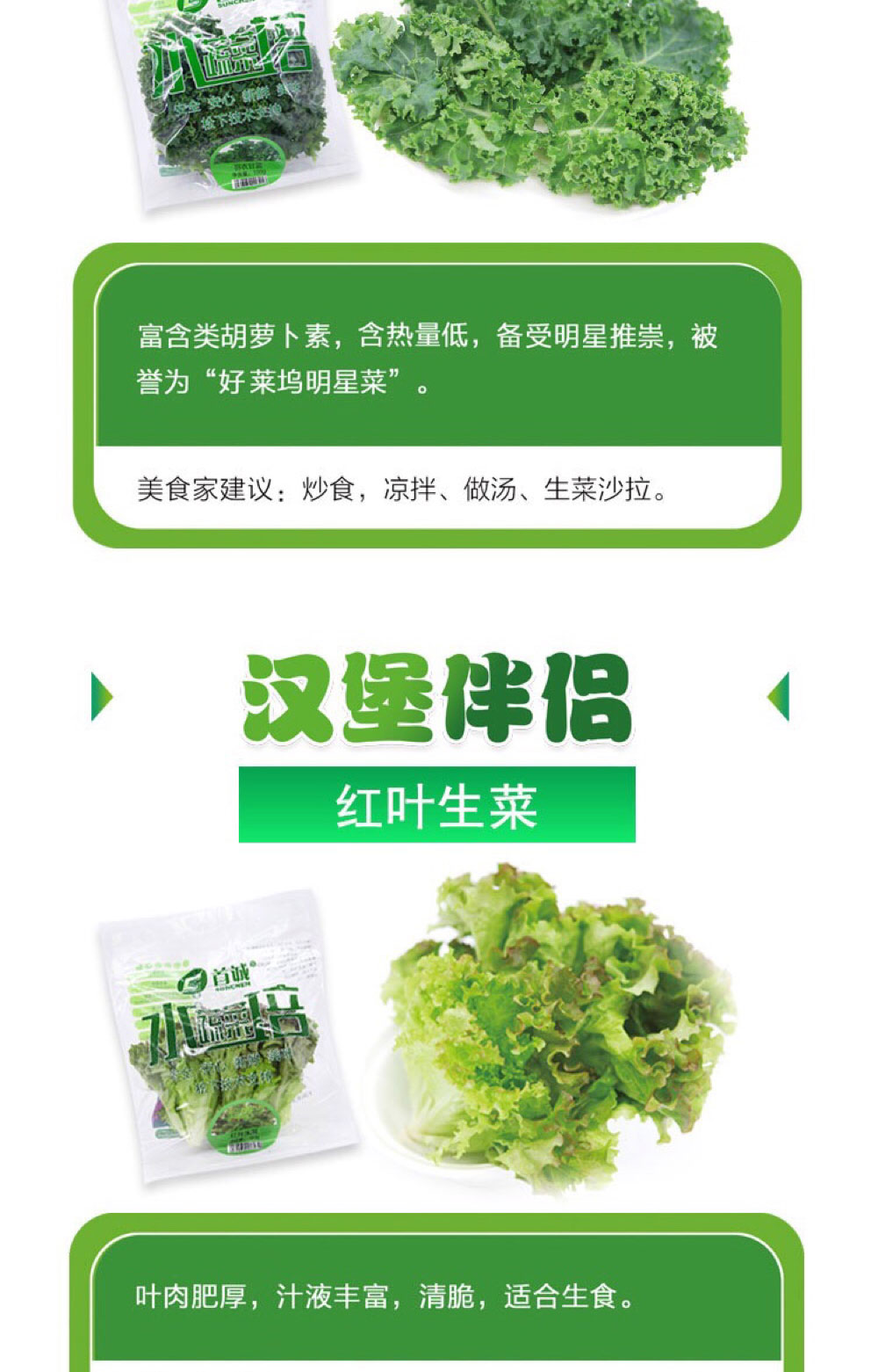 航天級食品|菊苣|蛹蟲草|